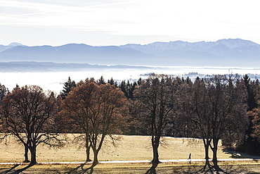 Runner on alley in Autumn, Ilkahoehe, Tutzing, Lake Starnberg, Bavaria, Germany