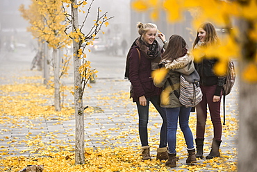 3 girls talking outside, Hamburg, Germany, Europe