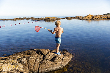 boy with fishing net on rocks near the beach at Hullehavn Camping, Summer, Baltic sea, MR, Bornholm, Svaneke, Denmark, Europe