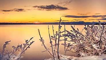 Winter morning with snow-covered plants at sunrise on Lake Starnberg, Tutzing, Bavaria, Germany