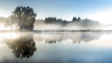 Trees in foggy autumn morning at a fish pond near Bernried, Bavaria, Germany