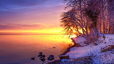 Winter morning with snow at sunrise on Lake Starnberg, Bernried, Bavaria, Germany