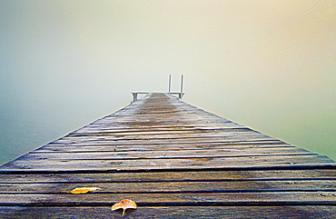 Hoar frost on jetty at misty sunrise, Seeshaupt, Bavaria, Germany