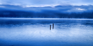 View of the Roseninsel at the blue hour in the morning, Lake Starnberg, Feldafing, Bavaria, Germany