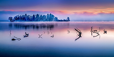 View of the Roseninsel in foggy autumn mood and sunrise, Lake Starnberg, Feldafing, Bavaria, Germany