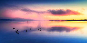 Deadwood in Lake Starnberg at sunrise, Bavaria, Germany