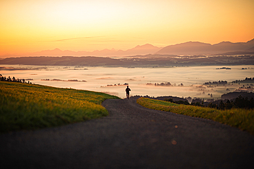 Runners on an empty path in the morning hours, running, sports, general