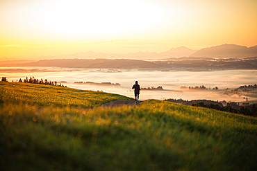 Runners on an empty path in the morning hours, running, sports, general