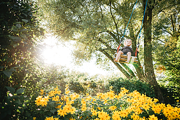 Little boy swings in the garden, yellow flowers, swings, joy, Allgäu, Bavaria