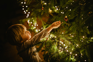 little boy stands in front of the Christmas tree, Christmas, family