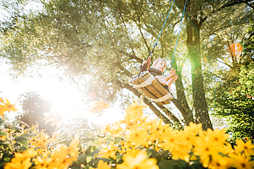 Little boy swings in the garden, yellow flowers, swings, joy, Allgäu, Bavaria