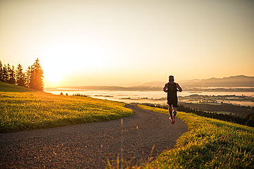 Runners on an empty path in the morning hours, running, sports, general