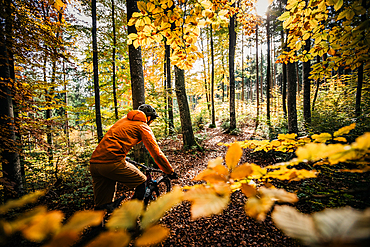 Mountain biker rides through autumn forest, bike, bike, mountain bike, autumn