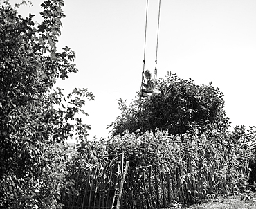 Little boy swings in the garden, plants, swing, Bavaria