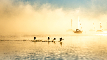 Fog at Lake Starnberg, Germany