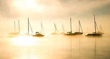 Autumn mood, fog at Lake Starnberg, Seeshaupt, Germany