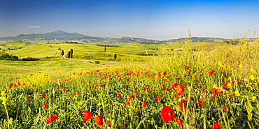 Landscape at sunrise around Pienza, Val d'Orcia, Orcia Valley, UNESCO World Heritage Site, Province of Siena, Tuscany, Italy, Europe