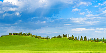 Crete Senesi, Province of Siena, Tuscany, Italy, Europe