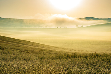 Sunrise in the Crete Senesi, Province of Siena, Tuscany, Italy, Europe