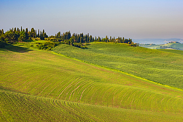 Crete Senesi, Province of Siena, Tuscany, Italy, Europe