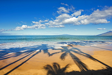 Shadows of palm trees on a beach on a sunny day, Maui, Hawaii, United States of America