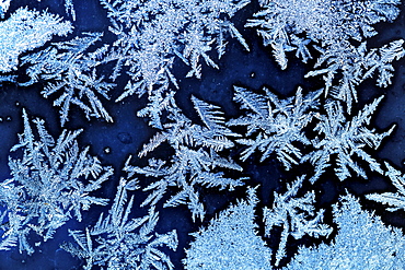 Extreme close-up of frost patterns on a window, Calgary, Alberta, Canada