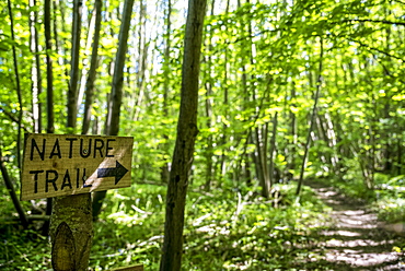 Nature trail sign pointing to trail, Meopham, Kent, England