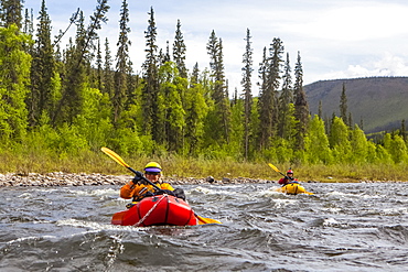 Two women packrafters negotiating a tributary of the Charley River in summertime, Yukon–Charley Rivers National Preserve, Alaska, United States of America