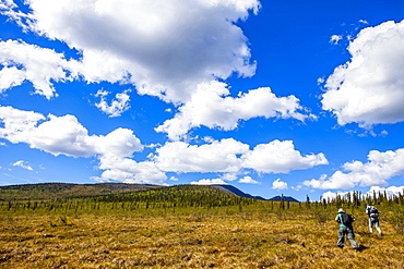 Two women hiking in the Yukon–Charley Rivers National Preserve on tundra in summertime towards the B-22 downed plane, Alaska, United States of America