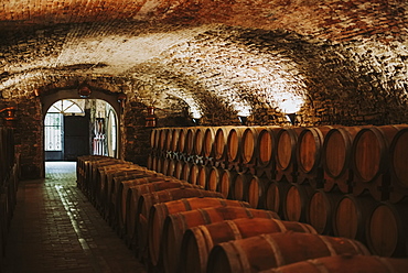 Wine cellar, Italy