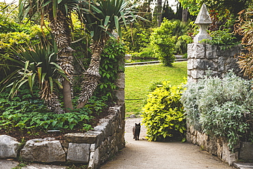 Stone walls and garden of Duino Castle with a cat on the walkway, Italy