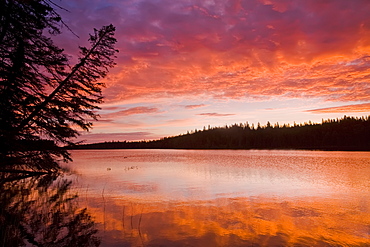 Glad Lake with brilliant colours at sunset, Duck Mountain Provincial Park, Manitoba, Canada