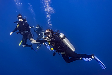 Scuba divers in Roatan Marine Park, West End Wall dive site, Roatan, Honduras