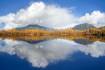 Mirror image of an autumn coloured forest and the Coast mountains in Tongass National Forest, Alaska, United States of America