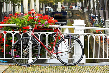 Bike along white metal railing on stone bridge with colourful flowers in box and canal in the background below, Delft, South Holland, Netherlands