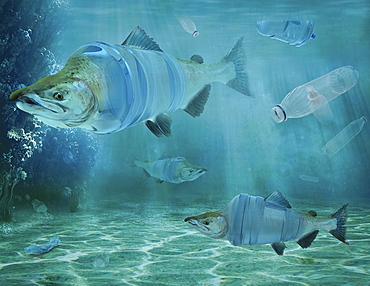 Fish and plastic water bottles underwater, composite image