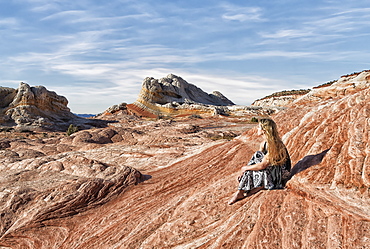 A woman sits on a rock formation enjoying the view at White Pocket, Vermilion Cliffs National Monument, Kanab, Arizona, United States of America