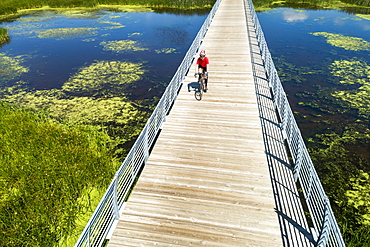 A female cyclist on a bridge crossing a swampy pond, East of Calgary, Alberta, Canada