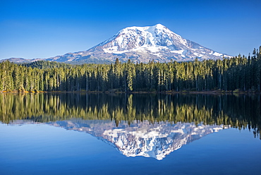 Mount Adams reflected in Takhlakh Lake, Gifford Pinchot National Forest, Washington, United States of America