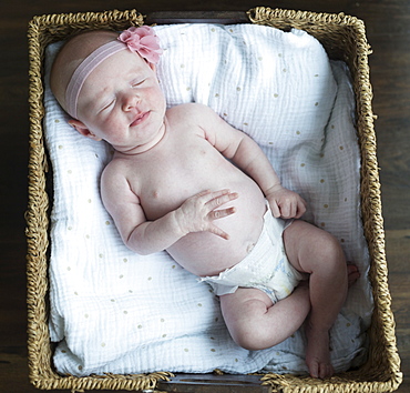 Portrait of a newborn baby in a basket, Surrey, British Columbia, Canada