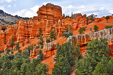 Bright red sandstone in Bryce Canyon National Park, Utah, United States of America