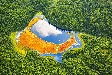 Aerial view of a pond in a dense forest, Thunder Bay, Ontario, Canada