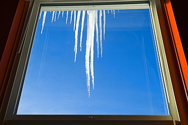 Icicles hanging in front of a window backlit by sunlight and a blue sky in the background, St. Albert, Alberta, Canada