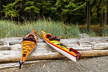 Kayaks on a small Islet at Beaumont Marine Park in Bedwell Harbour, South Pender Island, Pender Island, British Columbia, Canada.