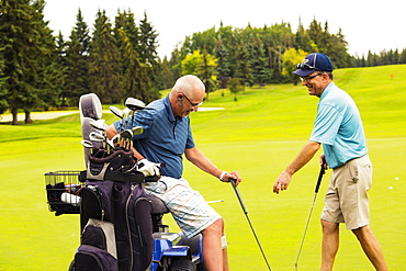 An able bodied golfer teams up with and assists a disabled golfer using a specialized powered golf wheelchair while they are putting together on a golf green, playing best ball, Edmonton, Alberta, Canada