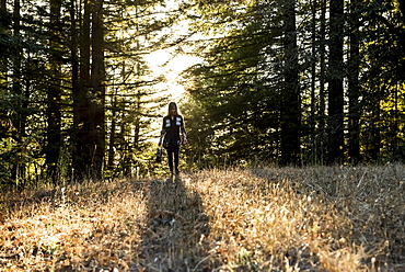 A woman walks across a field in a forest at dusk, Purisima Creek Redwoods, California, United States of America