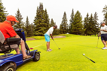 Two able bodied golfers team up with a disabled golfer using a specialized powered golf wheelchair and putting together on a golf green playing best ball, Edmonton, Alberta, Canada