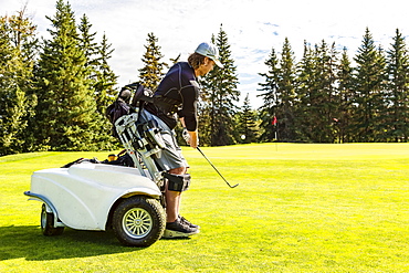 A physically disabled golfer chipping a ball onto the green and using a specialized golf assistance motorized hydraulic wheelchair, Edmonton, Alberta, Canada