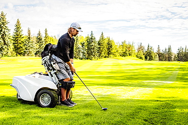 A physically disabled golfer using a specialized wheelchair lines up his driver with the ball on the golf green, Edmonton, Alberta, Canada