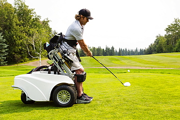 A physically disabled golfer driving a ball on a golf green and using a specialized golf assistance motorized hydraulic wheelchair, Edmonton, Alberta, Canada